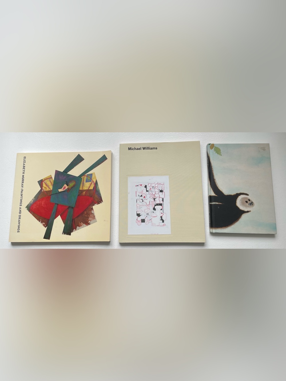 Elizabeth murray, laura owens, michael williams art book bundle (3 books)